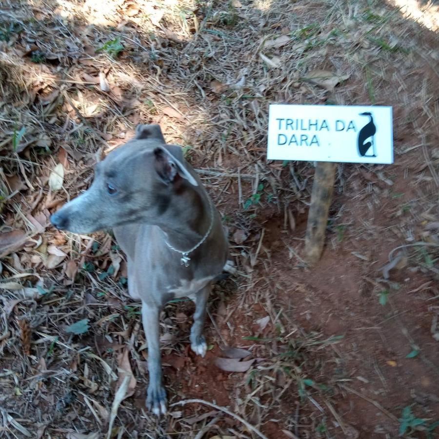 Апартаменты Casa Do Galgo Сан-Бенту-ду-Сапукаи Экстерьер фото